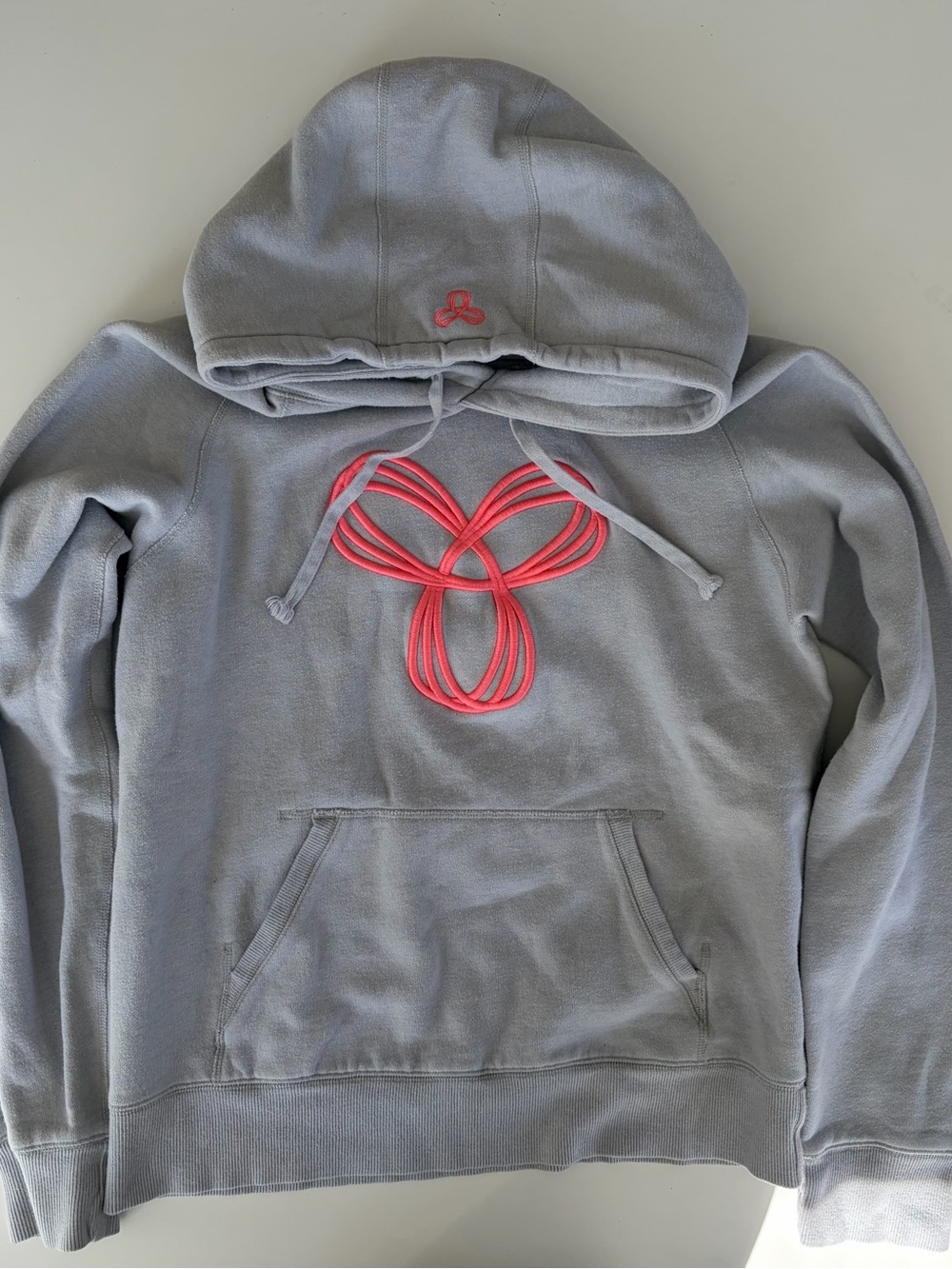 TNA Aritzia Grey Coral Embroidered Logo Hoodie L
